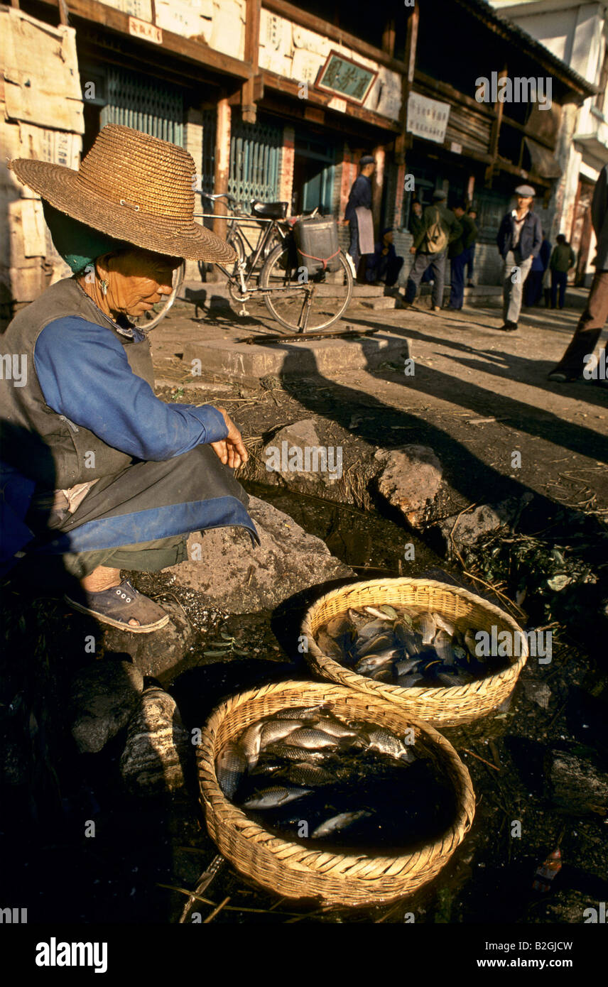 Vecchia donna con ceste di pesce, Cina Foto Stock