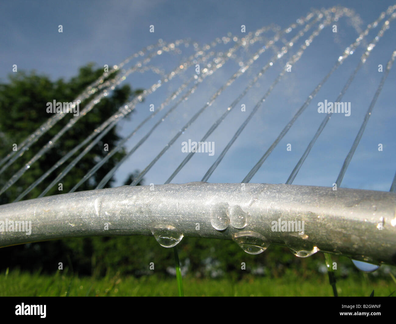 Sprinkler prato in azione su una nuova posa prato. Foto Stock