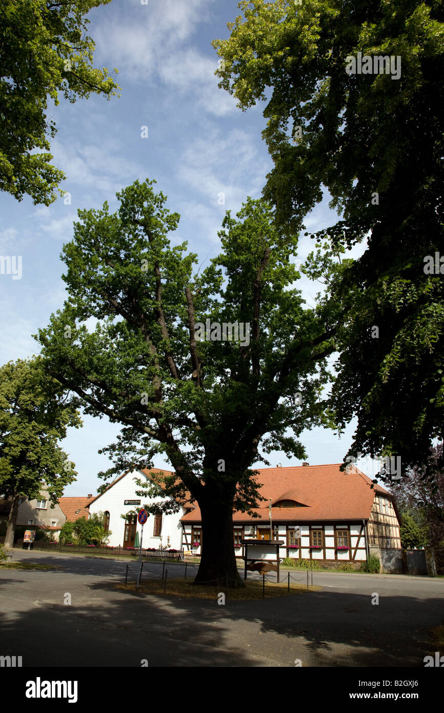Il pub Gasthaus Mocho nel centro del villaggio Goyatz Foto Stock