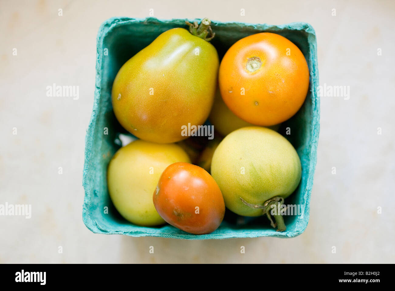 Mature cimelio di pomodori Foto Stock