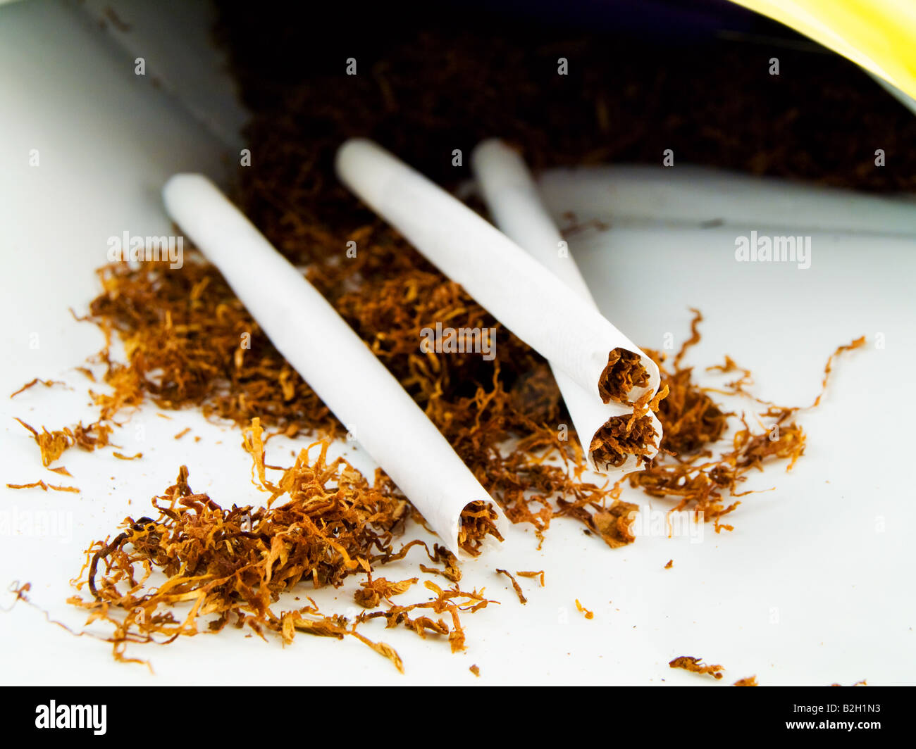 La laminazione a mano il tabacco e arrotolate a mano Cagarettes su sfondo bianco Foto Stock