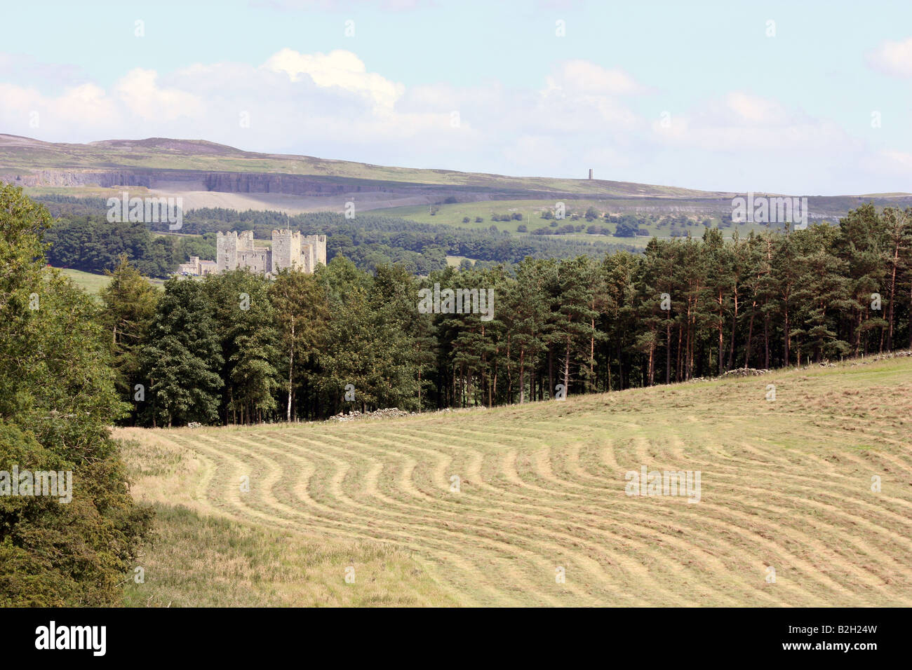 A piedi attraverso i campi da Bolton Castello a a Carperby, Superiore Wensleydale, Yorkshire Dales National Park Foto Stock