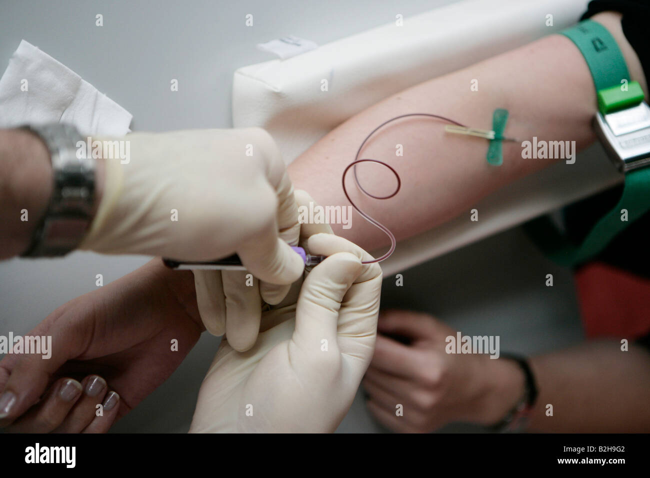 La donazione di sangue per le cellule staminali Foto Stock