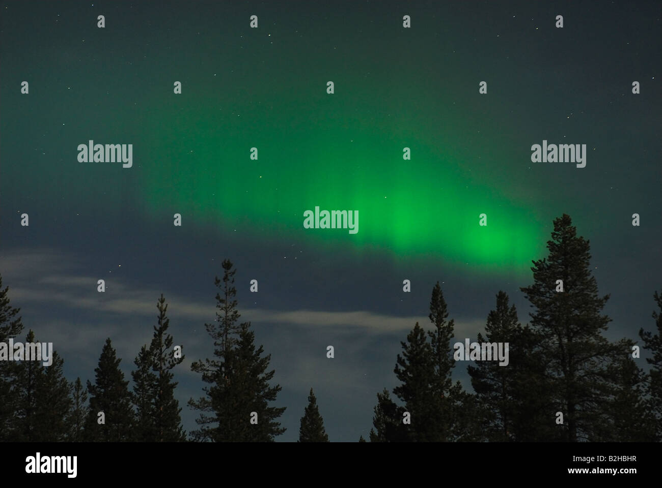 Aurora boreale luci polare esterno notte abisko national park np norbotten lapponia svezia Foto Stock