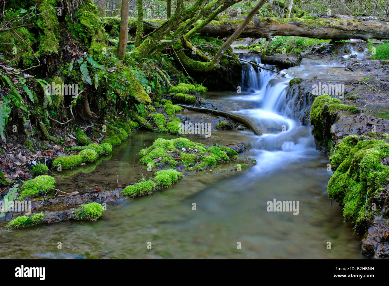 Ruscello di montagna autunno acqua blurrend Natur scenario brook creek Foto Stock