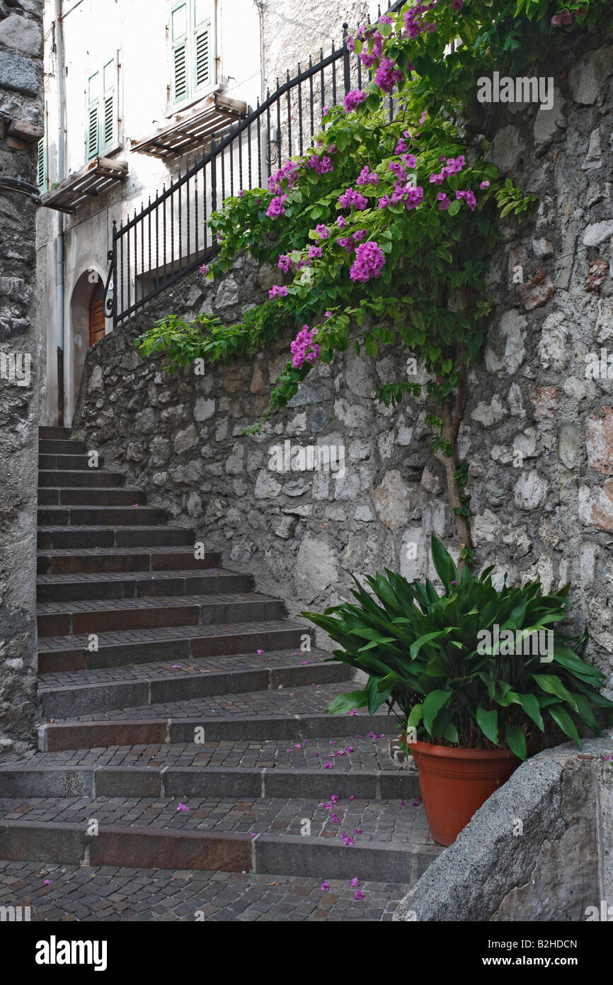 Gradini di scale lane alleway Limone Lago di Garda Trentino Foto Stock