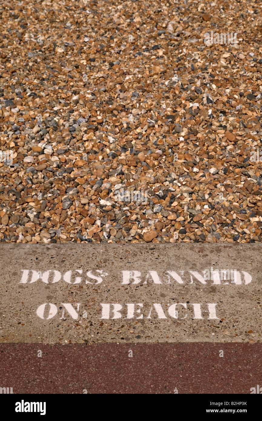 Cani vietato sulla spiaggia segno di avvertimento impresse sul marciapiede Foto Stock