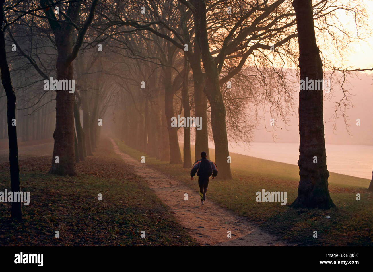 Jogging uomo in autunno parc de Versailles Paris Frankreich Foto Stock