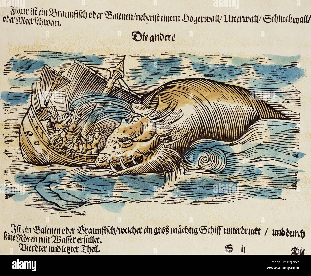 Superstizione, creature mitiche, ale attaccante una nave, woodcut, 'Historia animalium' di Conrad Gesner, volume 4th, 'Piscium et aquatilium animantium natura', 1558, collezione privata, Foto Stock