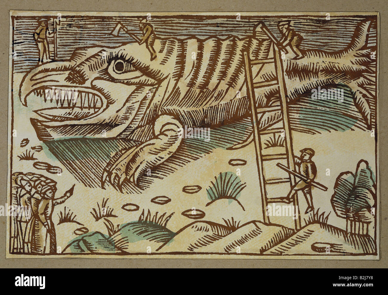 Pesca, caccia alle balene, peeling di una balena, taglio di legno, "Historia de gentibus septentrionalibus" di Olaus Magnus, Roma, 1555, collezione privata, Foto Stock