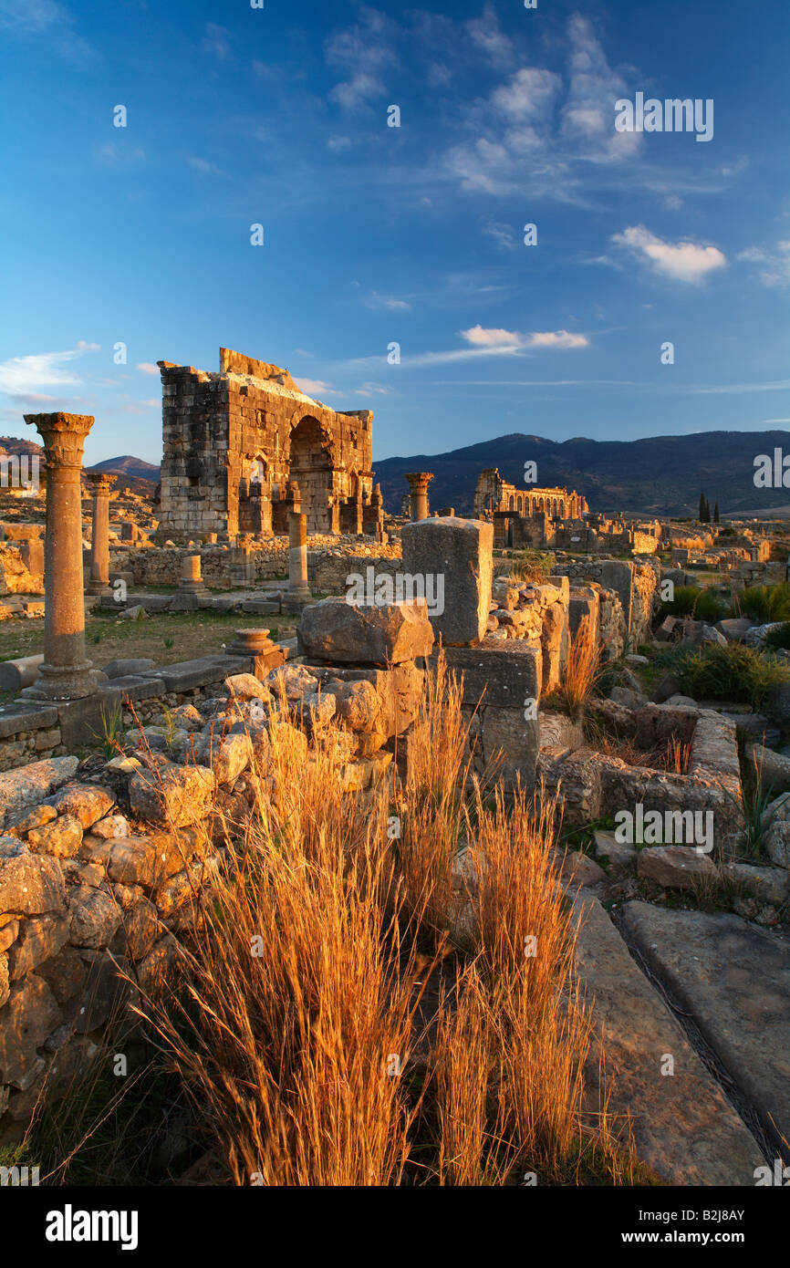 Le antiche rovine romane con l arco trionfale e Basilica oltre a Volubilis, Marocco Foto Stock
