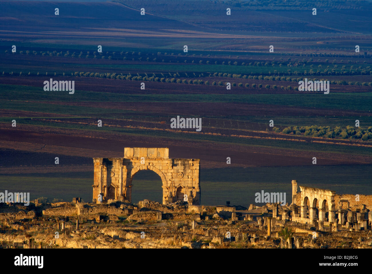 L'Arco Trionfale nelle antiche rovine romane di Volubilis, Marocco Foto Stock