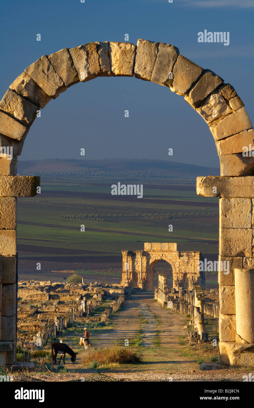La gate di Tangeri ed un arco trionfale con un agricoltore e il suo asino in antiche rovine romane di Volubilis, Marocco Foto Stock