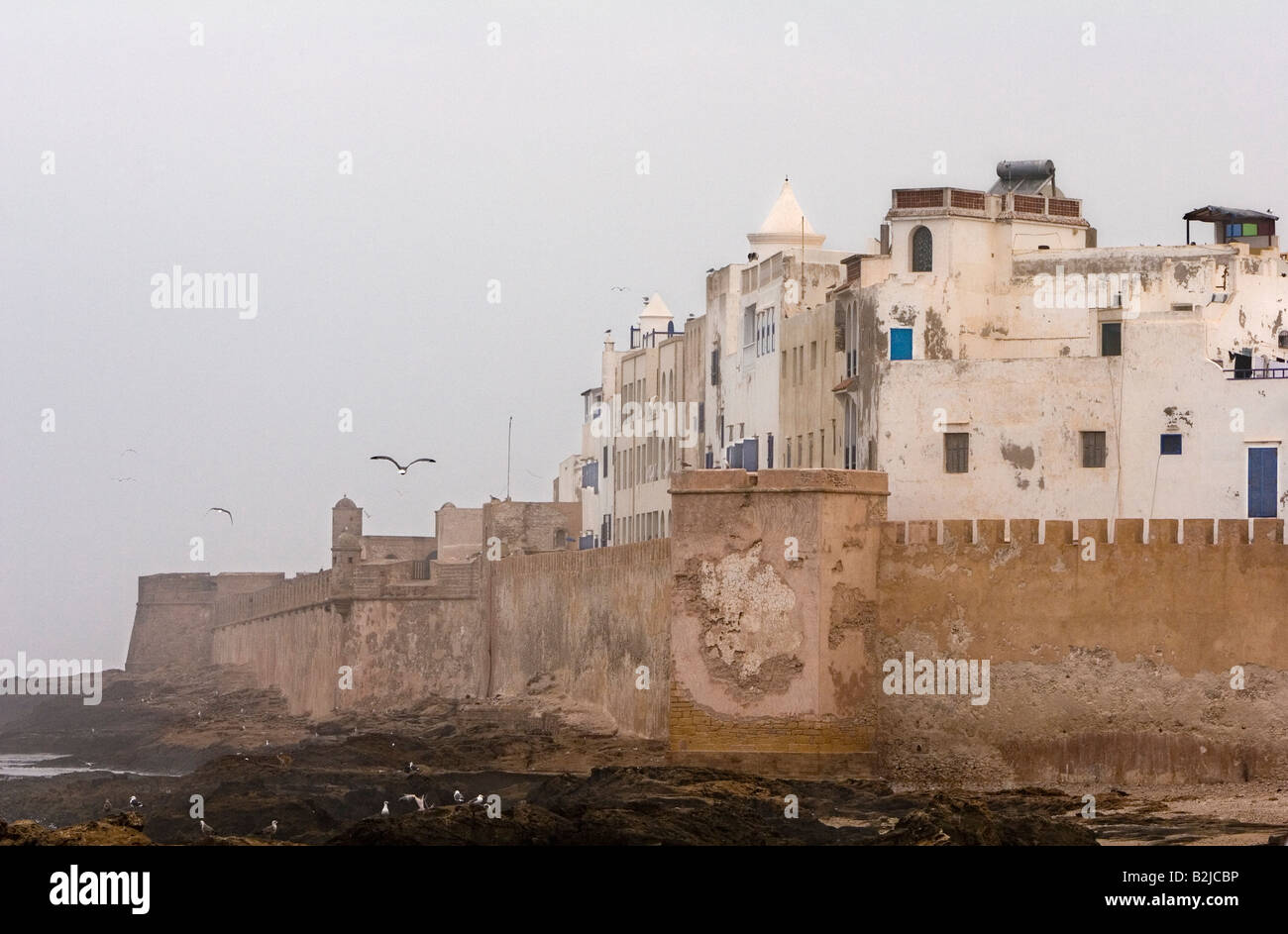 Essaouira Foto Stock