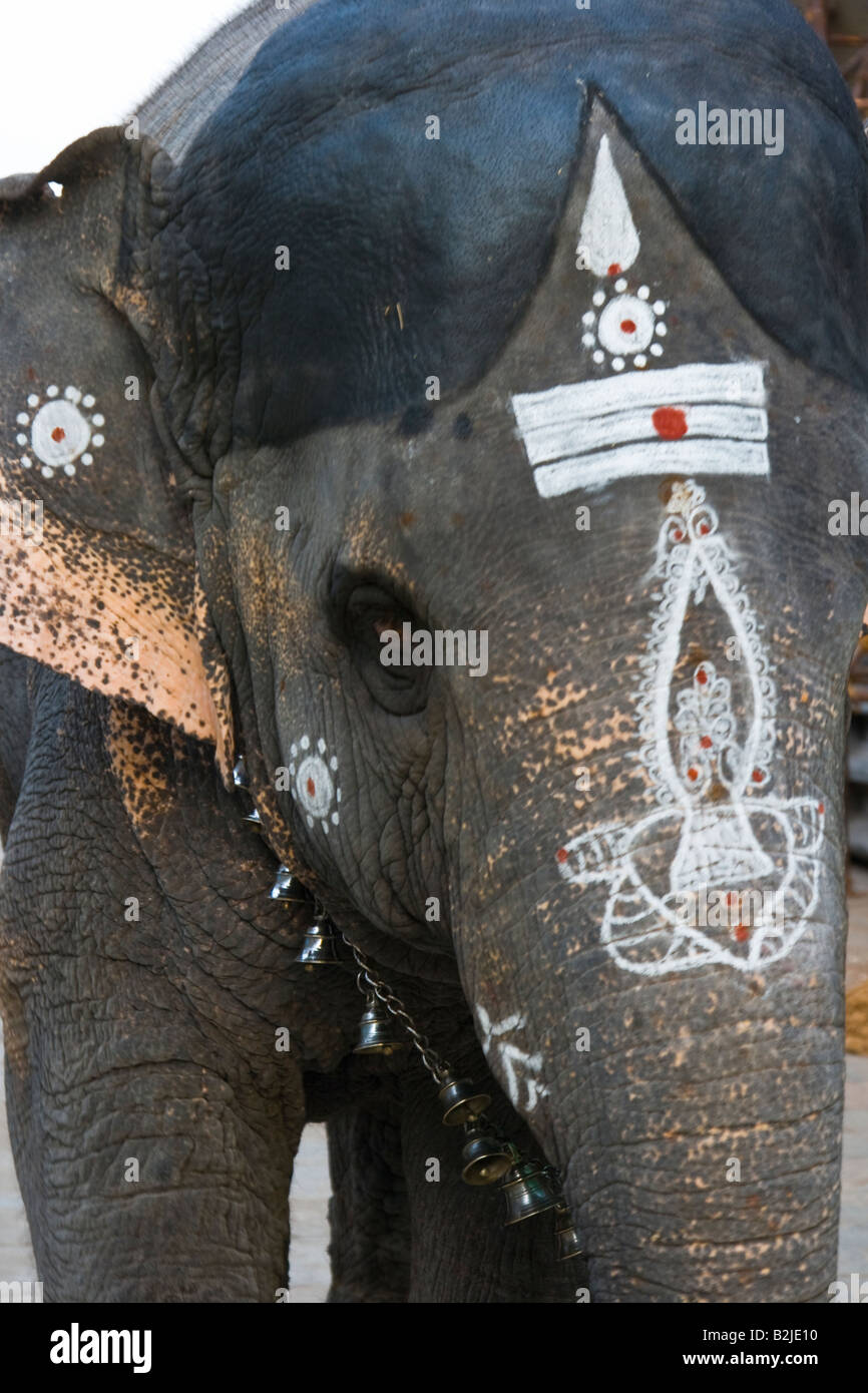 Decorate Tempio elefante in Sri Minakshi tempio indù di Madurai in Tamil Nadu India Foto Stock