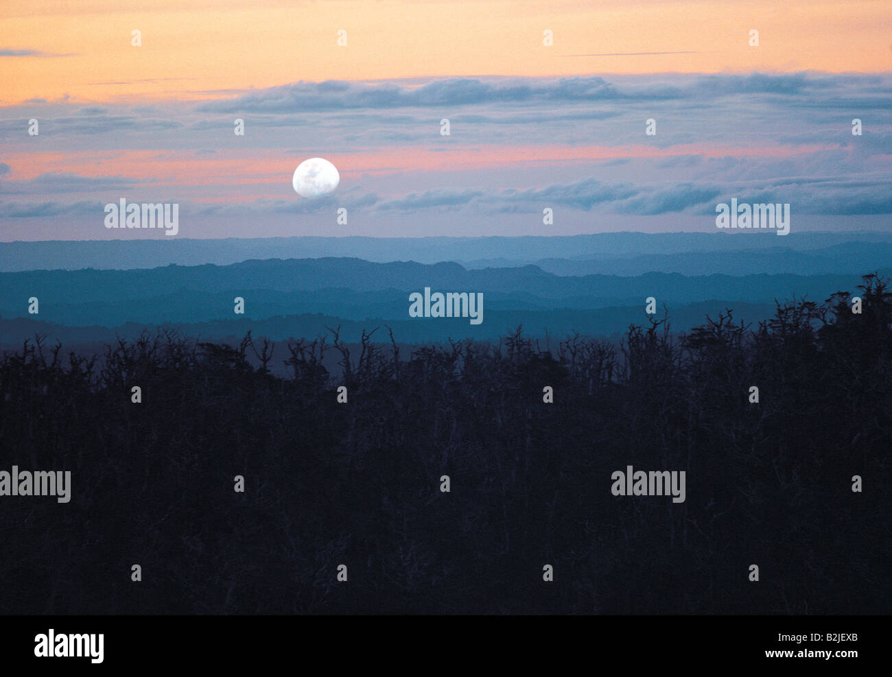 Nuova Zelanda. Lago Taupo. Moonrise su un paesaggio nebbioso. Foto Stock