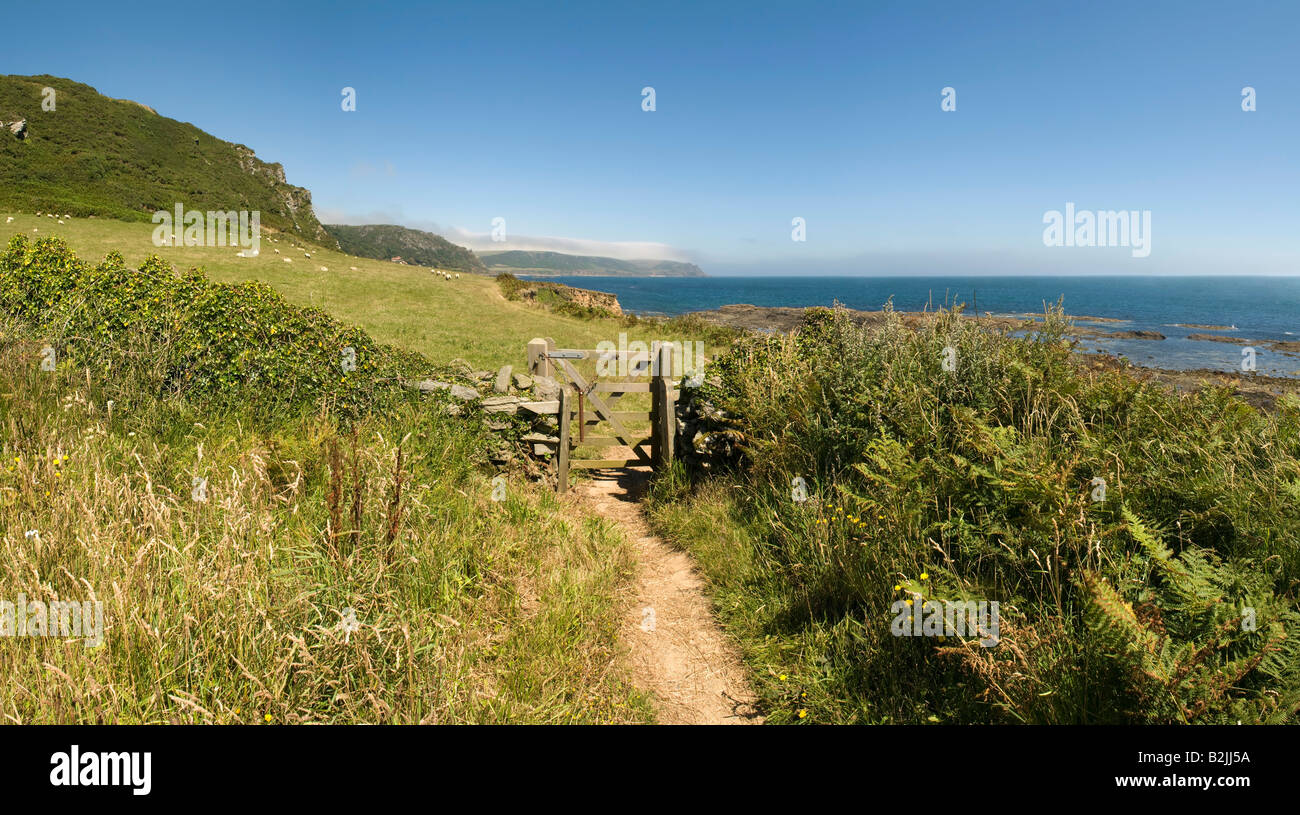 Vista da sud-ovest devon coast path prawle point South Hams Devon England Regno Unito Foto Stock