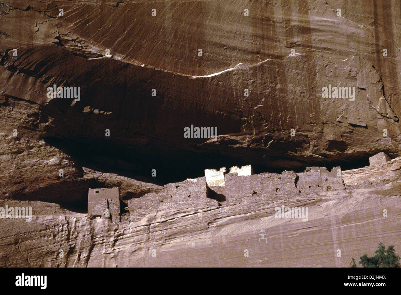 Canyon De Chelley Monumento Nazionale Cliff abitazione South Rim Drive White House rovina Arizona USA Foto Stock