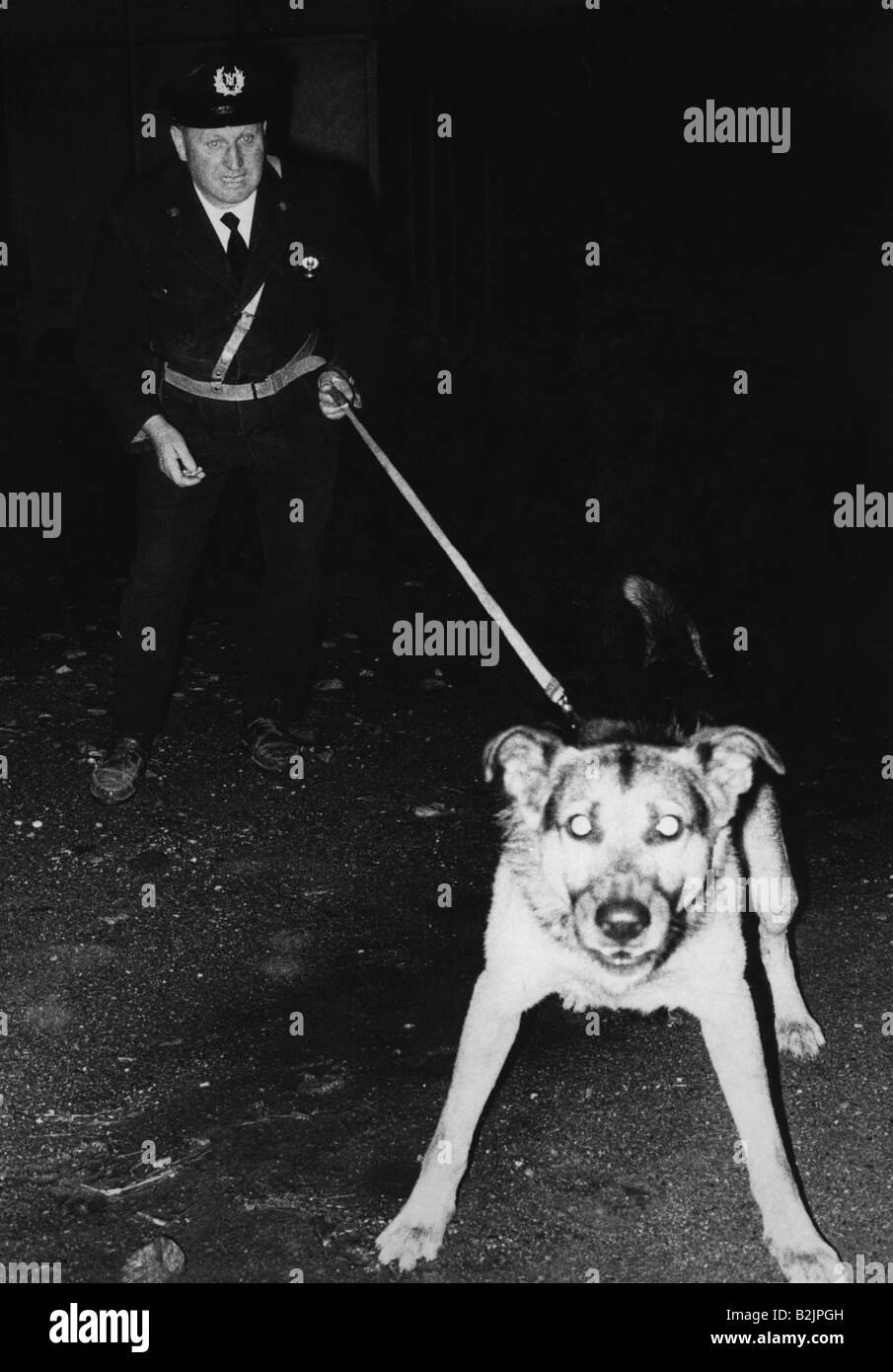 Geografia / viaggio, Italia, politica, Alto Adige, conflitto in Alto Adige, polizia con cane su pattuglia, Lana an der Etsch, giugno 1961, Foto Stock