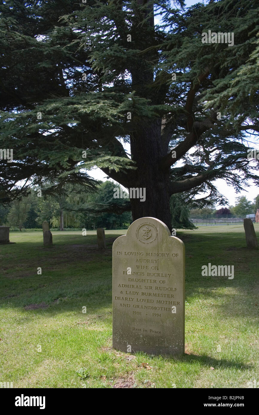 Grave pietra sotto la grande albero n Avington sagrato Foto Stock