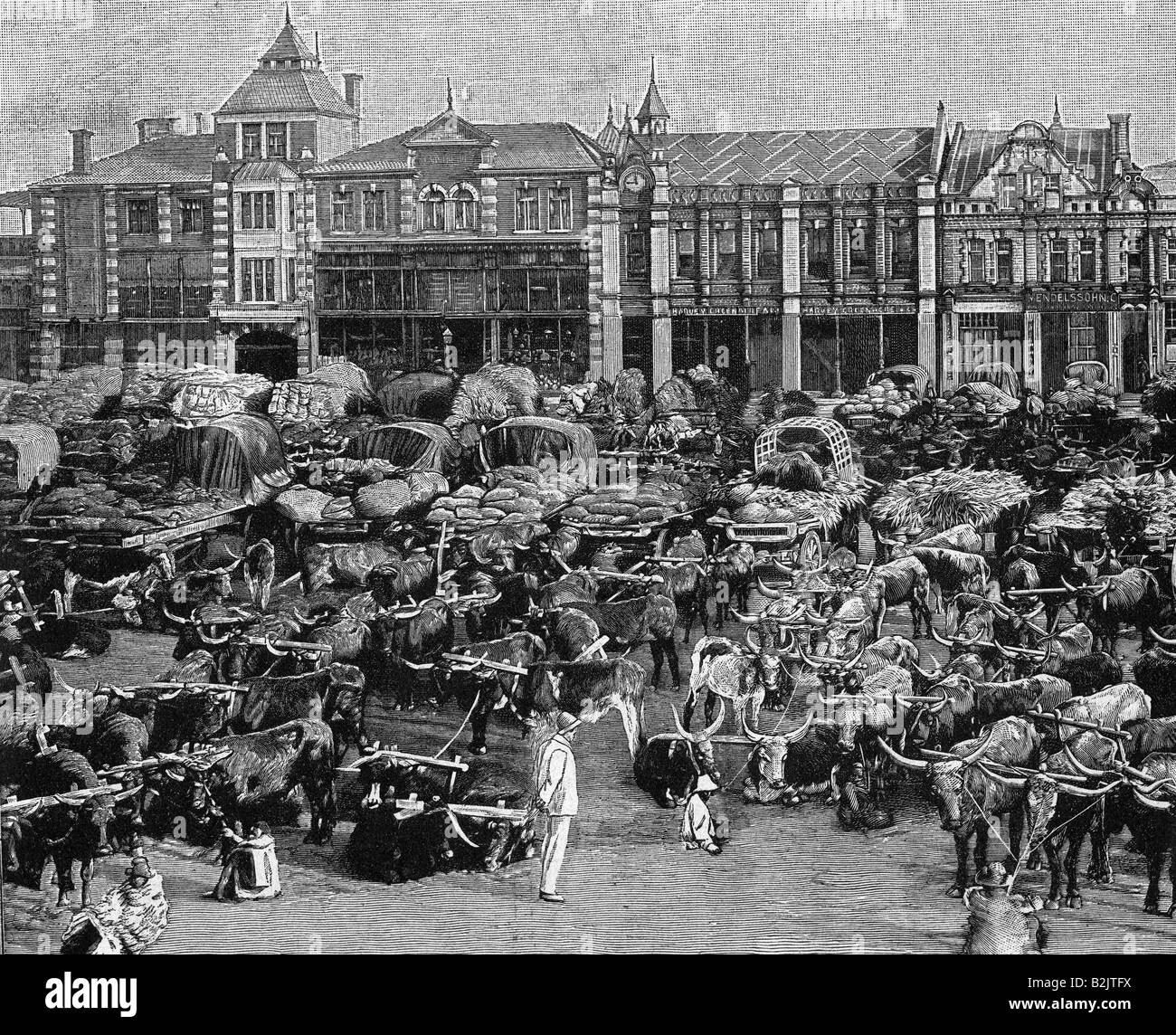 Geografia / viaggio, Sudafrica, Johannesburg, commercio, mercato, incisione del legno, circa 1895, Foto Stock