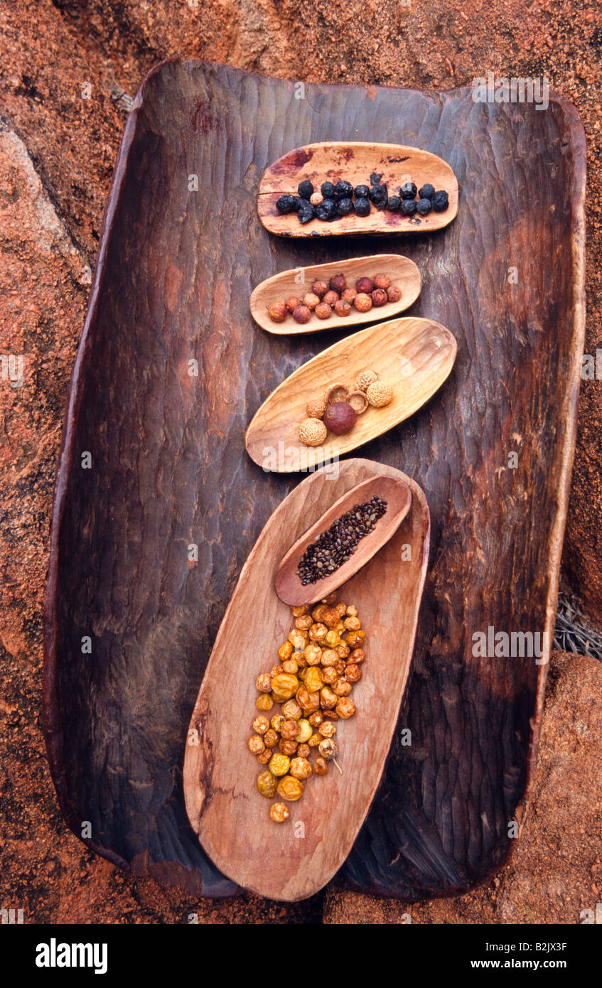 Aboriginal bush tucker, outback Australia Foto Stock