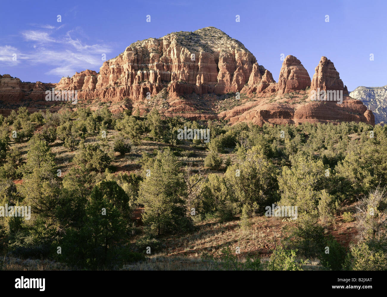 Geografia / viaggi, USA, Arizona, paesaggi, Oak Creek Canyon, Additional-Rights-Clearance-Info-Not-Available Foto Stock
