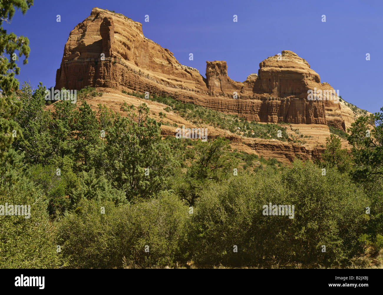 Geografia / viaggi, USA, Arizona, paesaggi, Oak Creek Canyon, Schnebly Hill, Additional-Rights-Clearance-Info-Not-Available Foto Stock