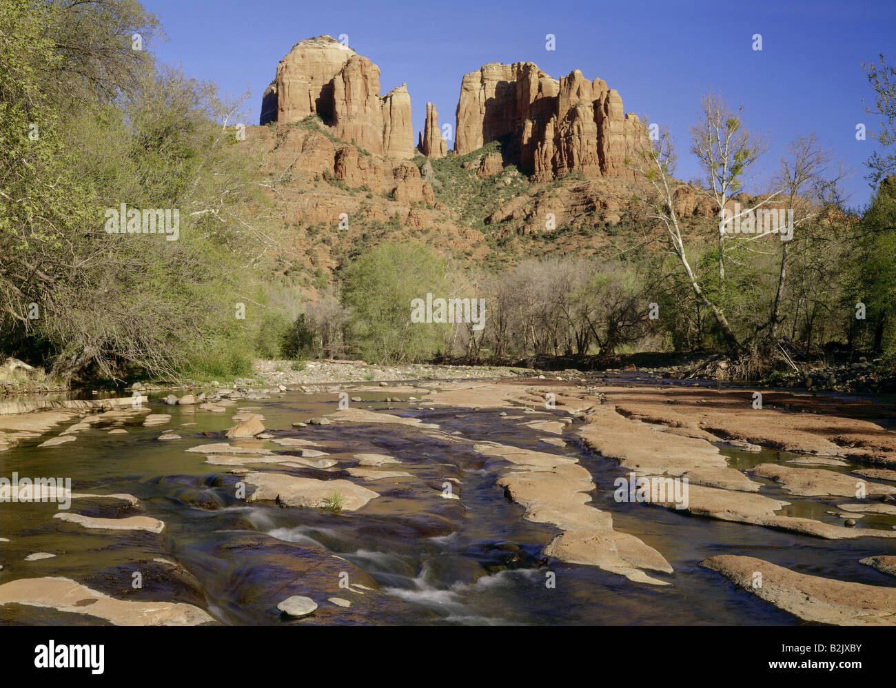 Geografia / viaggi, USA, Arizona, paesaggi, Oak Creek Canyon, Cattedrale Rock, Additional-Rights-Clearance-Info-Not-Available Foto Stock
