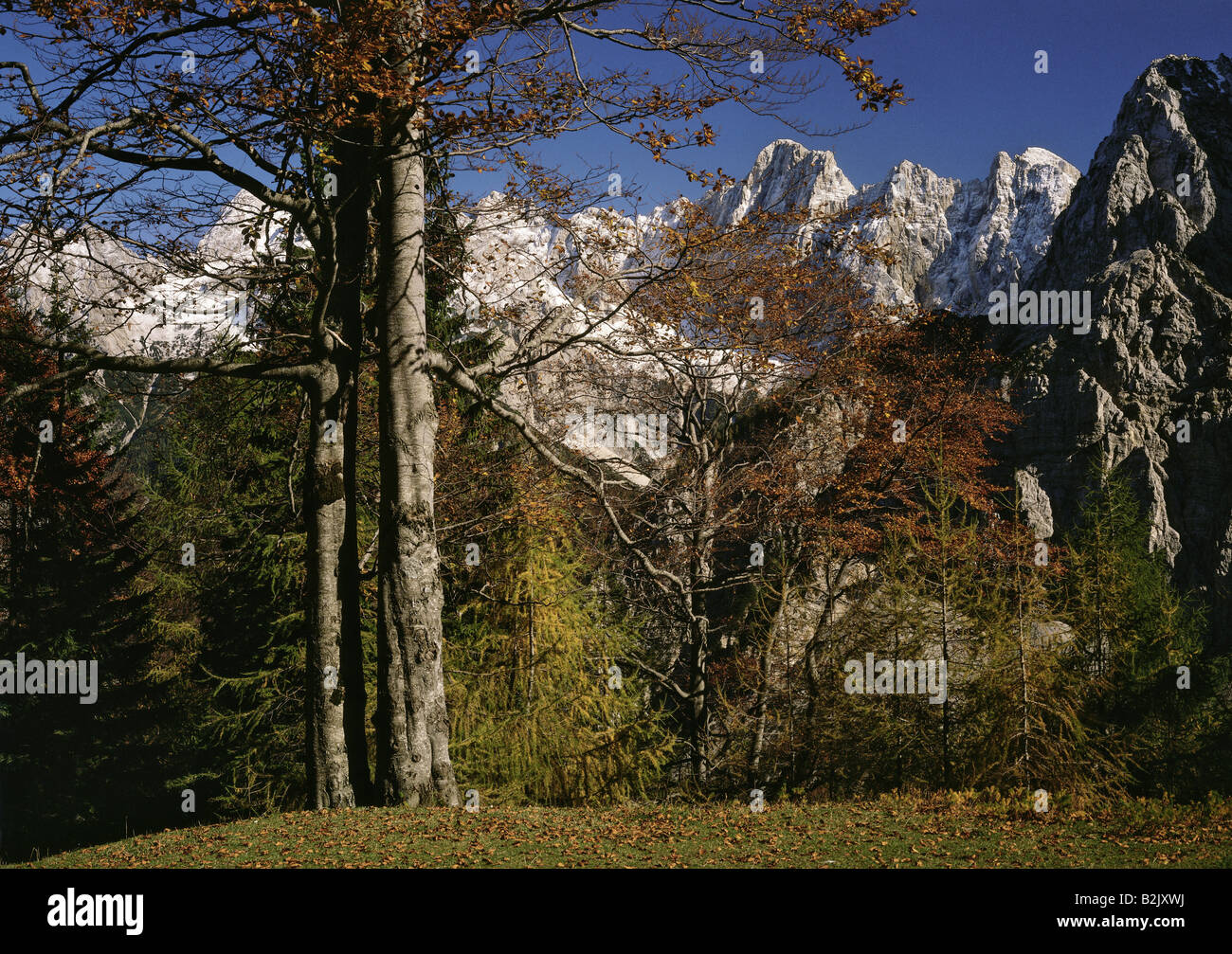 Geografia / viaggi, Slovenia Alta Carniola, paesaggi, Triglav, Additional-Rights-Clearance-Info-Not-Available Foto Stock