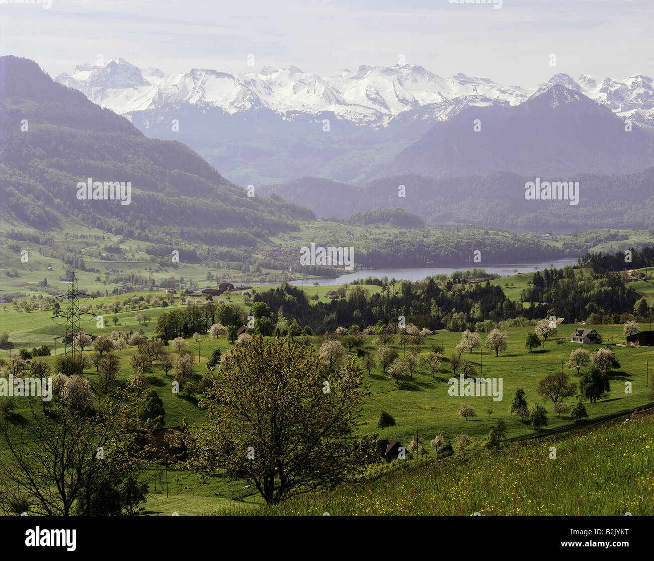 Geografia / viaggi, svizzera Svitto, paesaggi, il Lago di Lucerna, a Küssnacht am Rigi, Additional-Rights-Clearance-Info-Not-Available Foto Stock