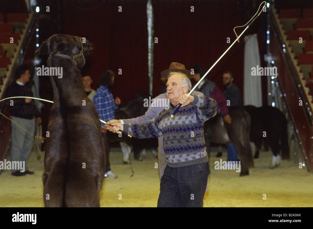 Steiner, Peter, 6.9.1927 - 22.12.2008, attore tedesco, a metà lunghezza, durante la pratica per 'Scats in der Manege', Circus Krone, Monaco di Baviera, 29.11.1993, Foto Stock