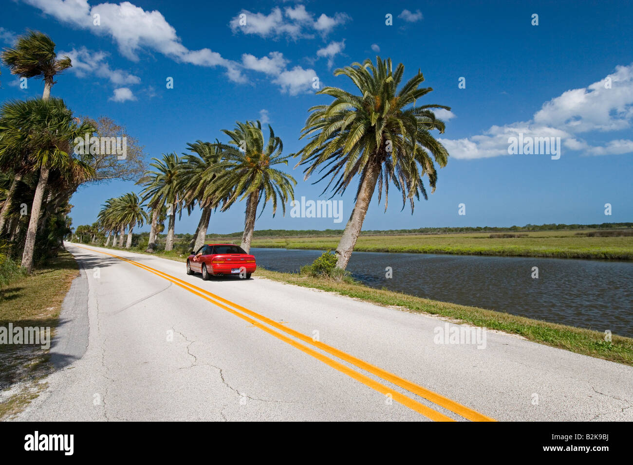 Ormond Scenic Loop e Trail, Ormond Beach, Florida Foto Stock