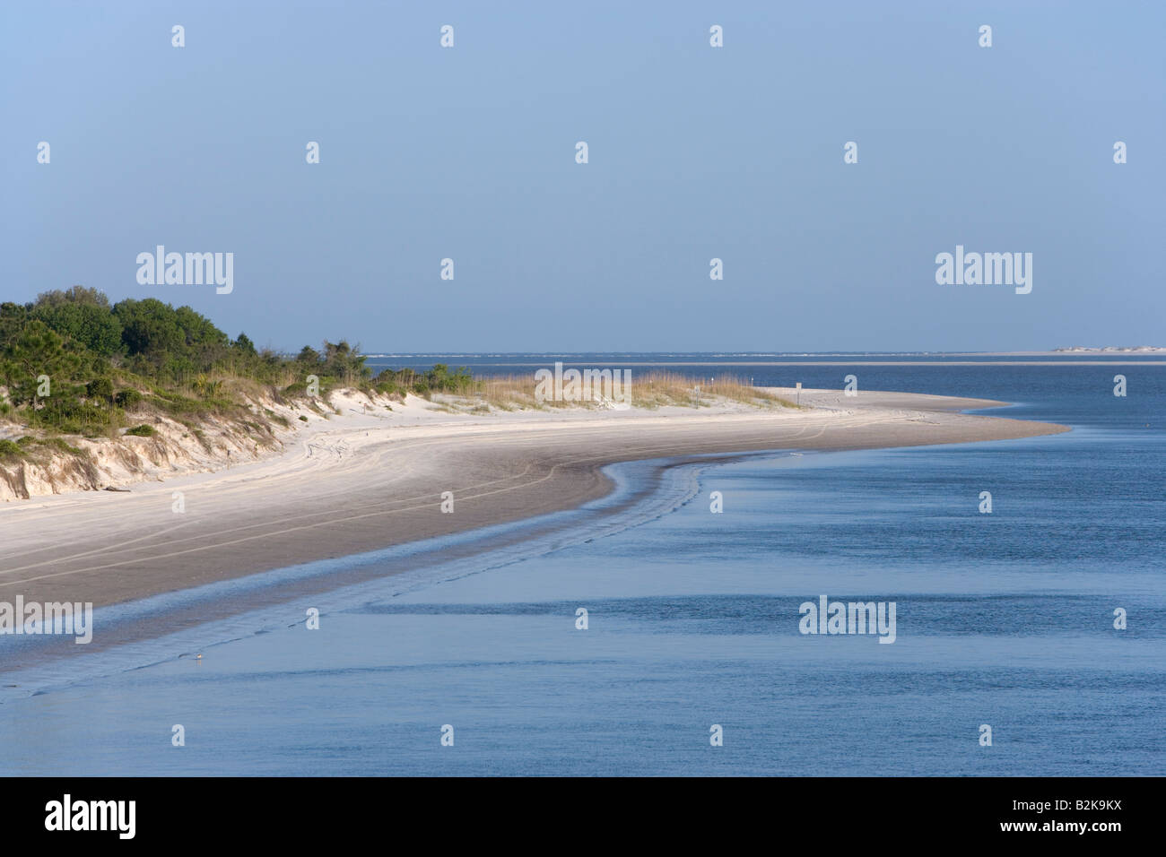 Big Talbot Island State Park nei pressi di Amelia Island, Florida Foto Stock