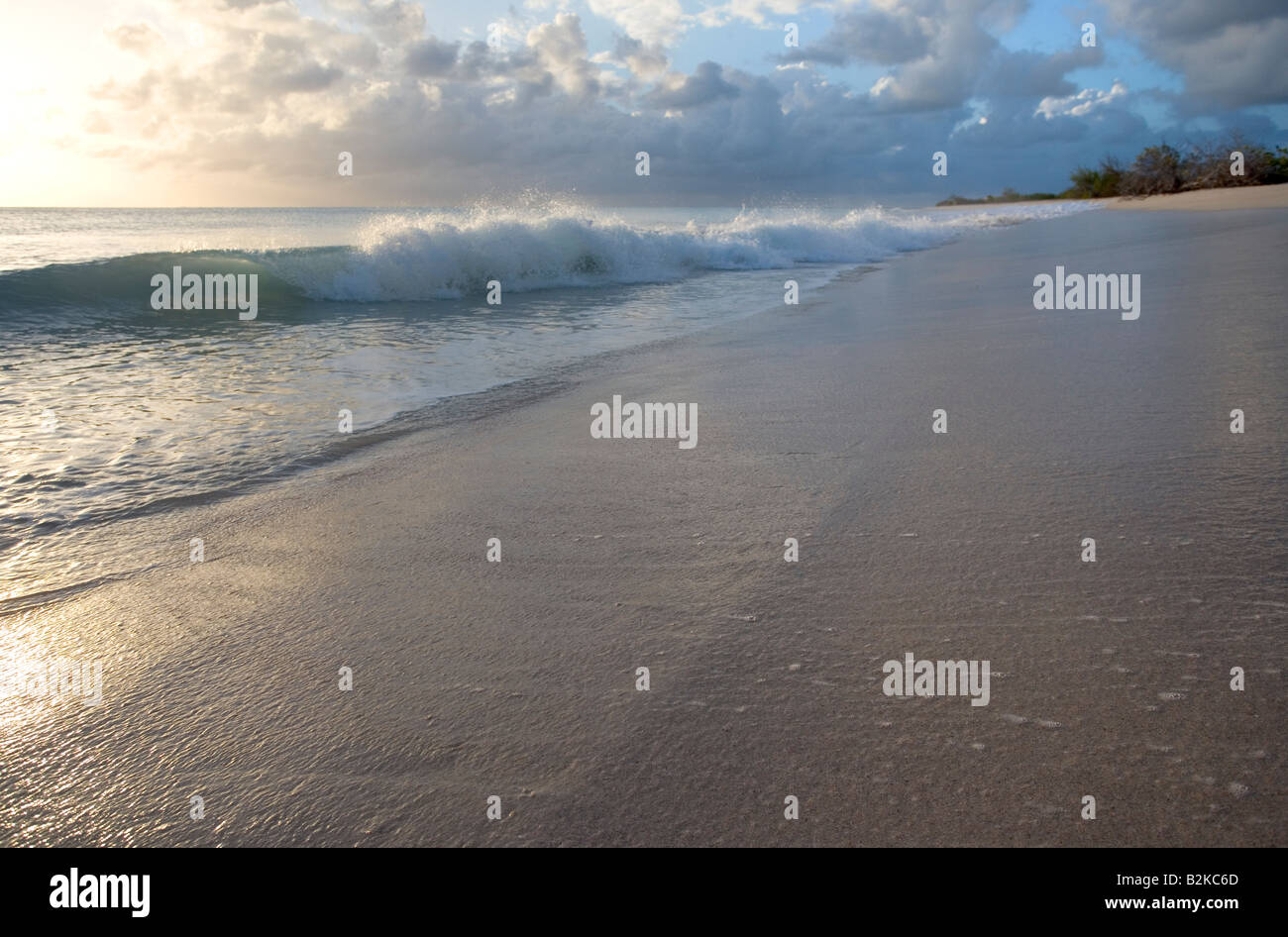 11 miglia di spiaggia su Barbuda s west coast al tramonto come un onda schiumoso si rompe Foto Stock