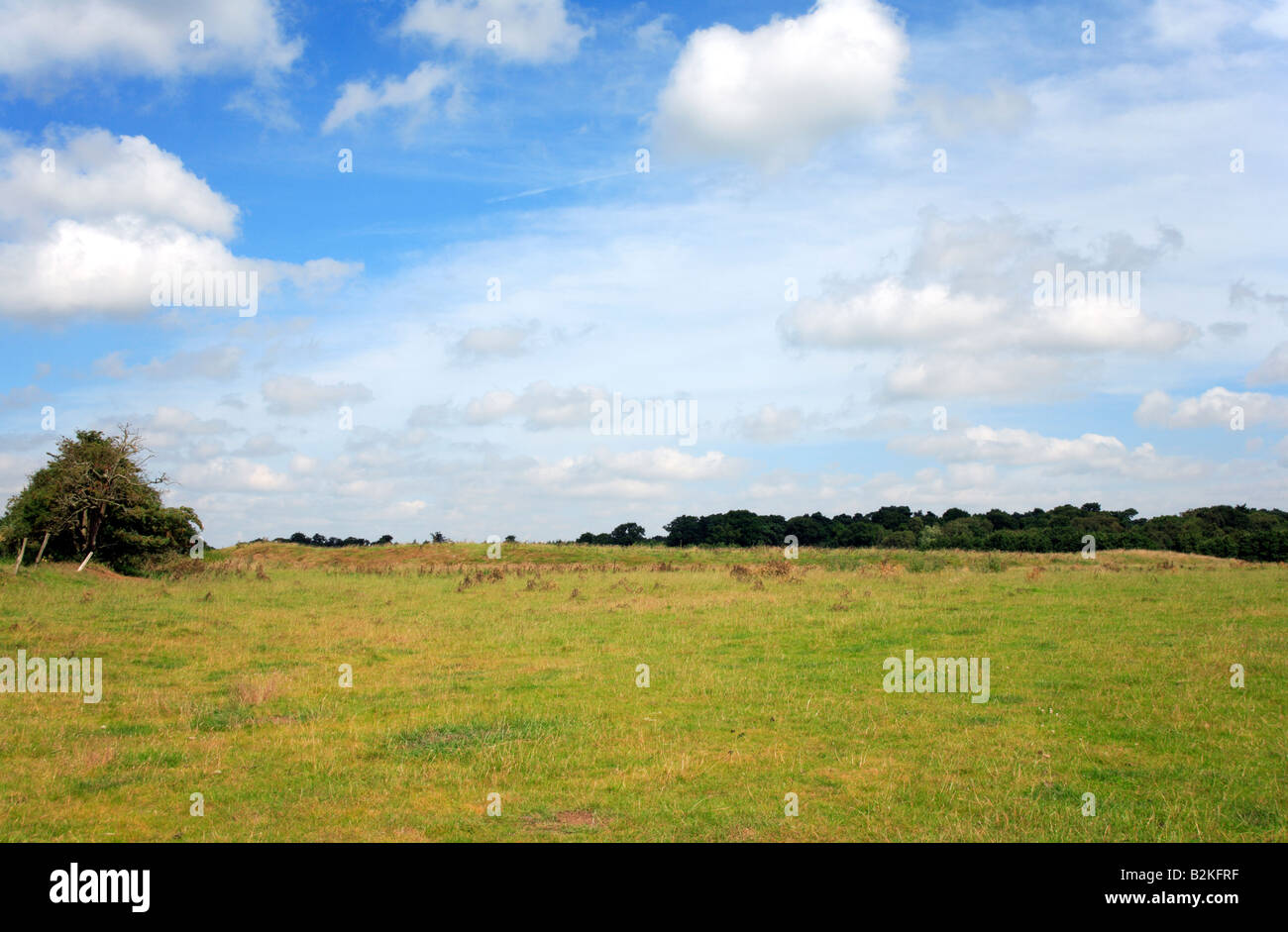 Sito di Norman Motte e Bailey Castle a Castle Hill, Horsford, Norfolk, Regno Unito, che mostra i resti della bassa giacente Bailey. Foto Stock