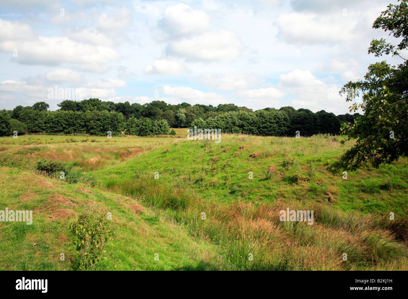 Sito di Norman Motte e Bailey Castle a Castle Hill, Horsford, Norfolk, Regno Unito, che mostra i resti di la motte e fossa interna. Foto Stock