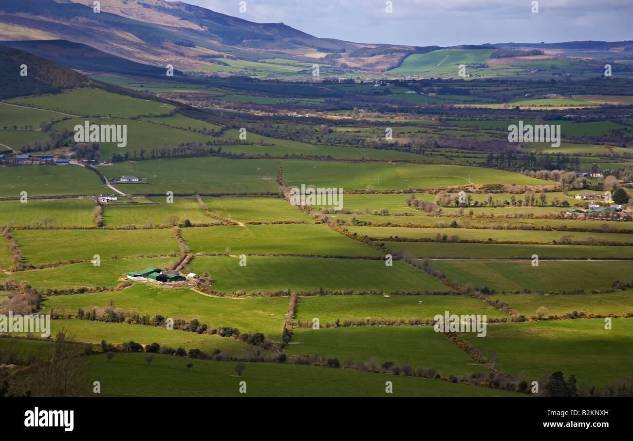 Farmscape di piccoli campi, vicino Comeragh montagne, nella contea di Waterford, Irlanda Foto Stock