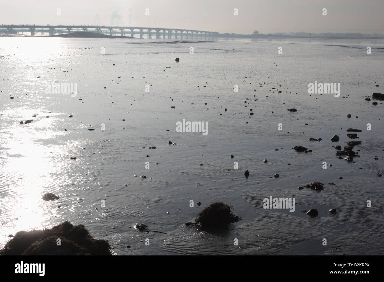 Un congelamento nebbia scompare dalla marea e velme nuovo Kincardine Bridge - La tomaia via Crossing - a Kincardine sulla via. Foto Stock