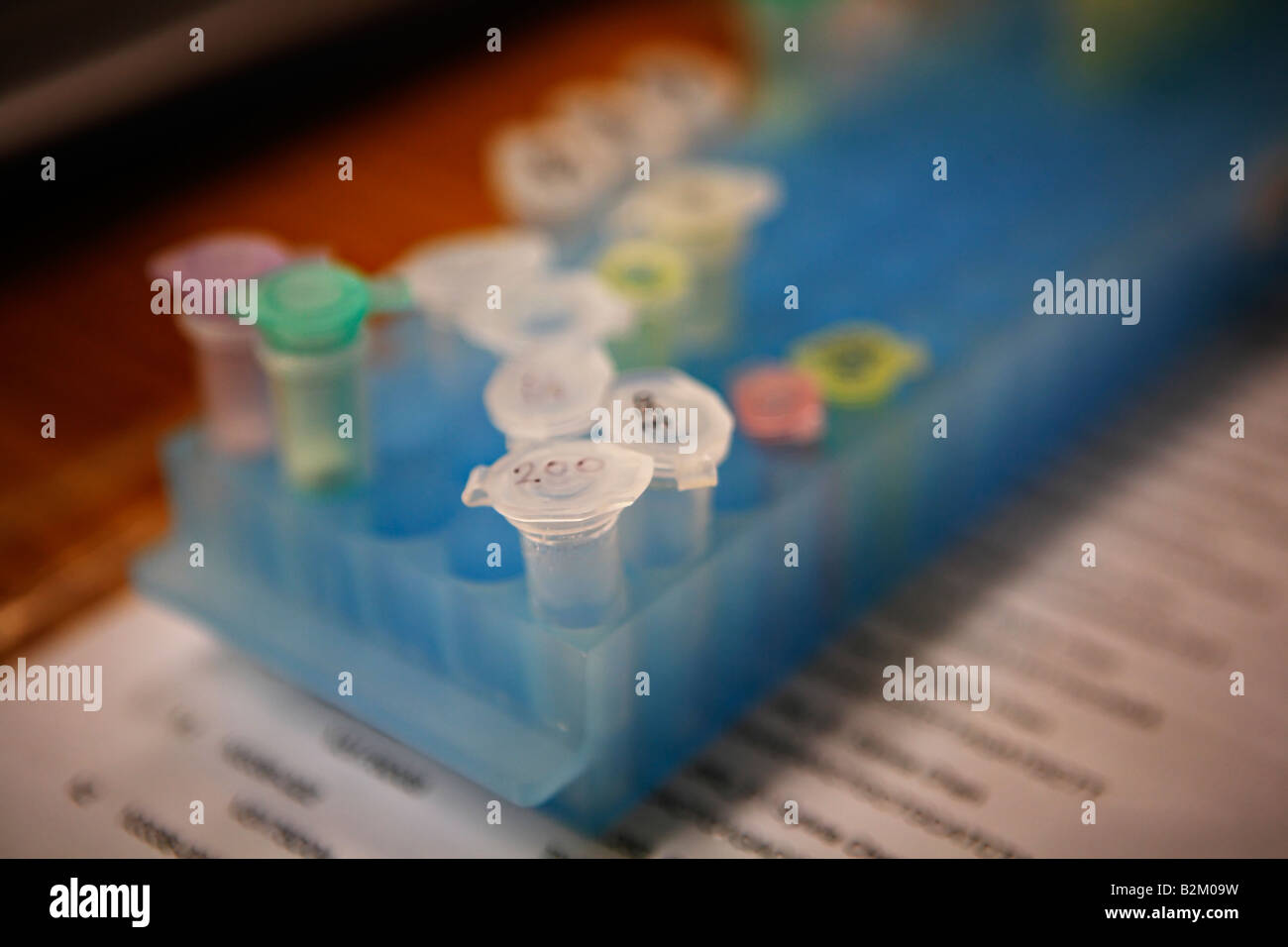 Banco da laboratorio apparecchiature per analisi del DNA i campioni sono contenuti in piccole fiale in plastica con tappi memorizzati in cesti in plastica Foto Stock
