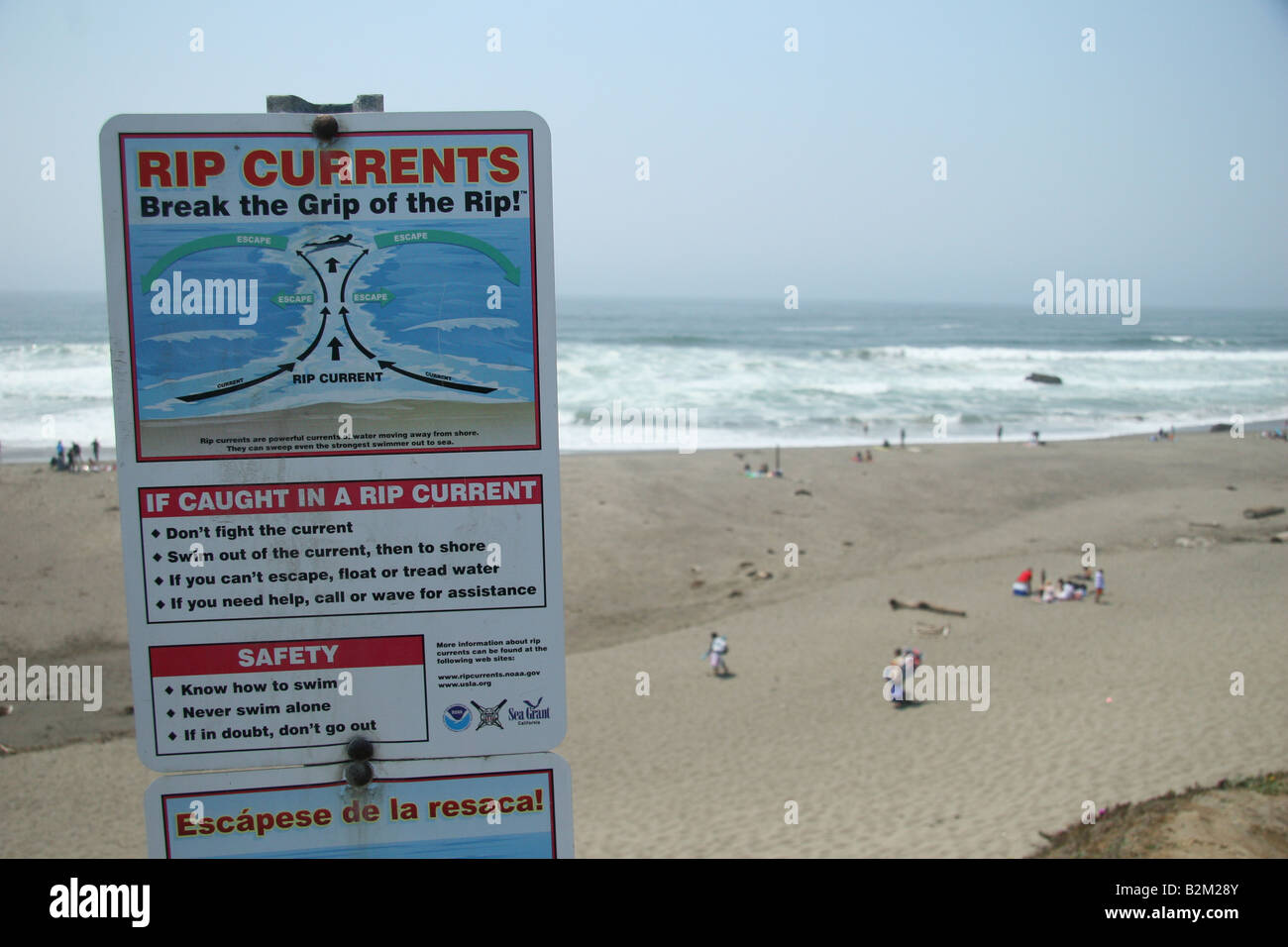Correnti di rip segno di avvertimento sulla spiaggia. Foto Stock