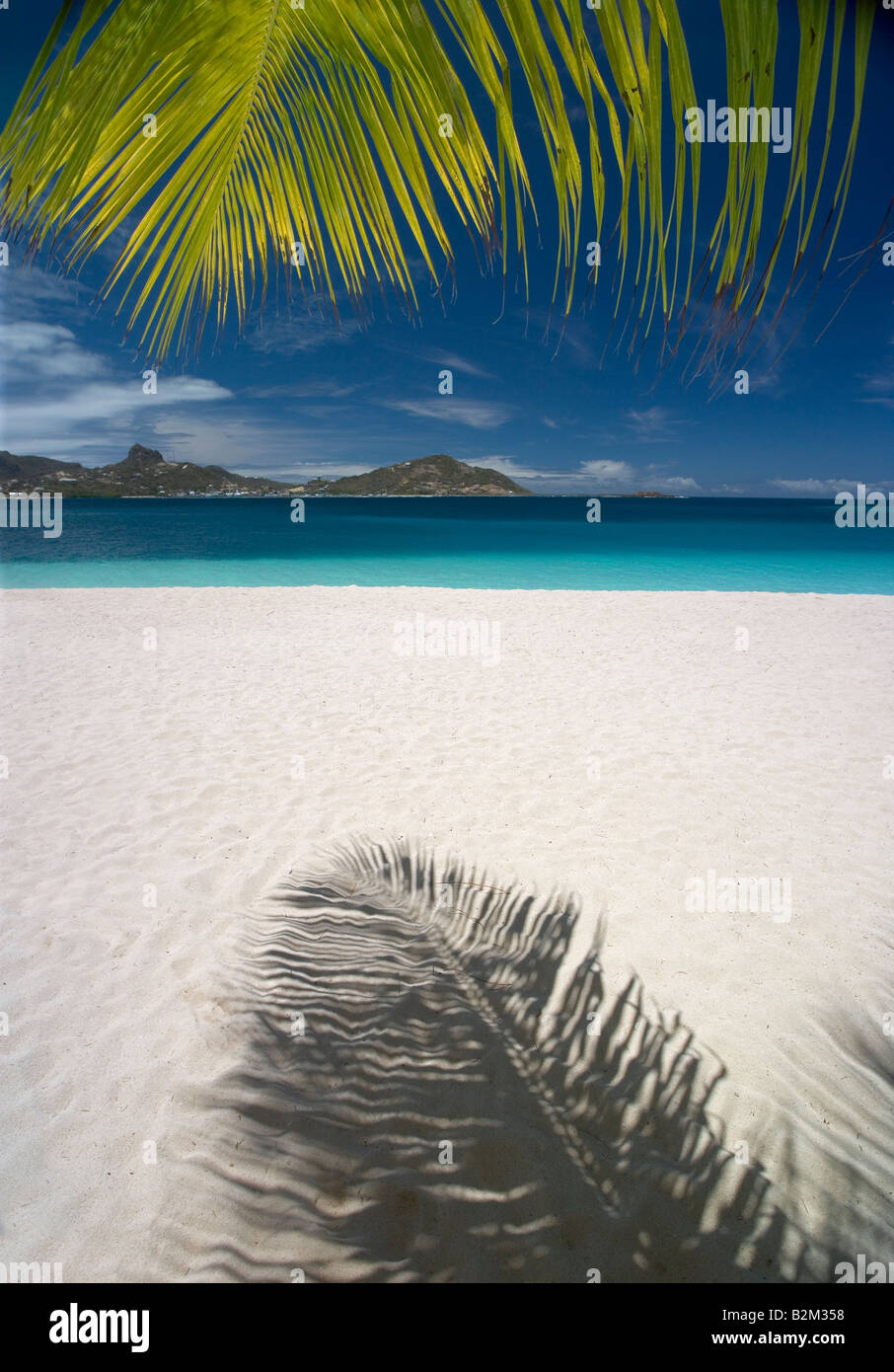 Un palm frond e la sua ombra su una spiaggia caraibica questo uno di Palm Island St Vincent Foto Stock