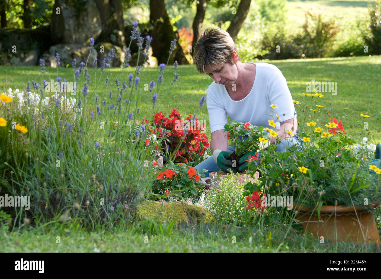 Donna di mezza età giardinaggio in un giardino di fiori in primavera / estate Foto Stock