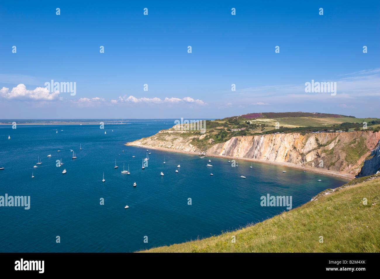 Costa affacciato sulla Baia di allume e sul Canale Inglese Isle of Wight Regno Unito Foto Stock