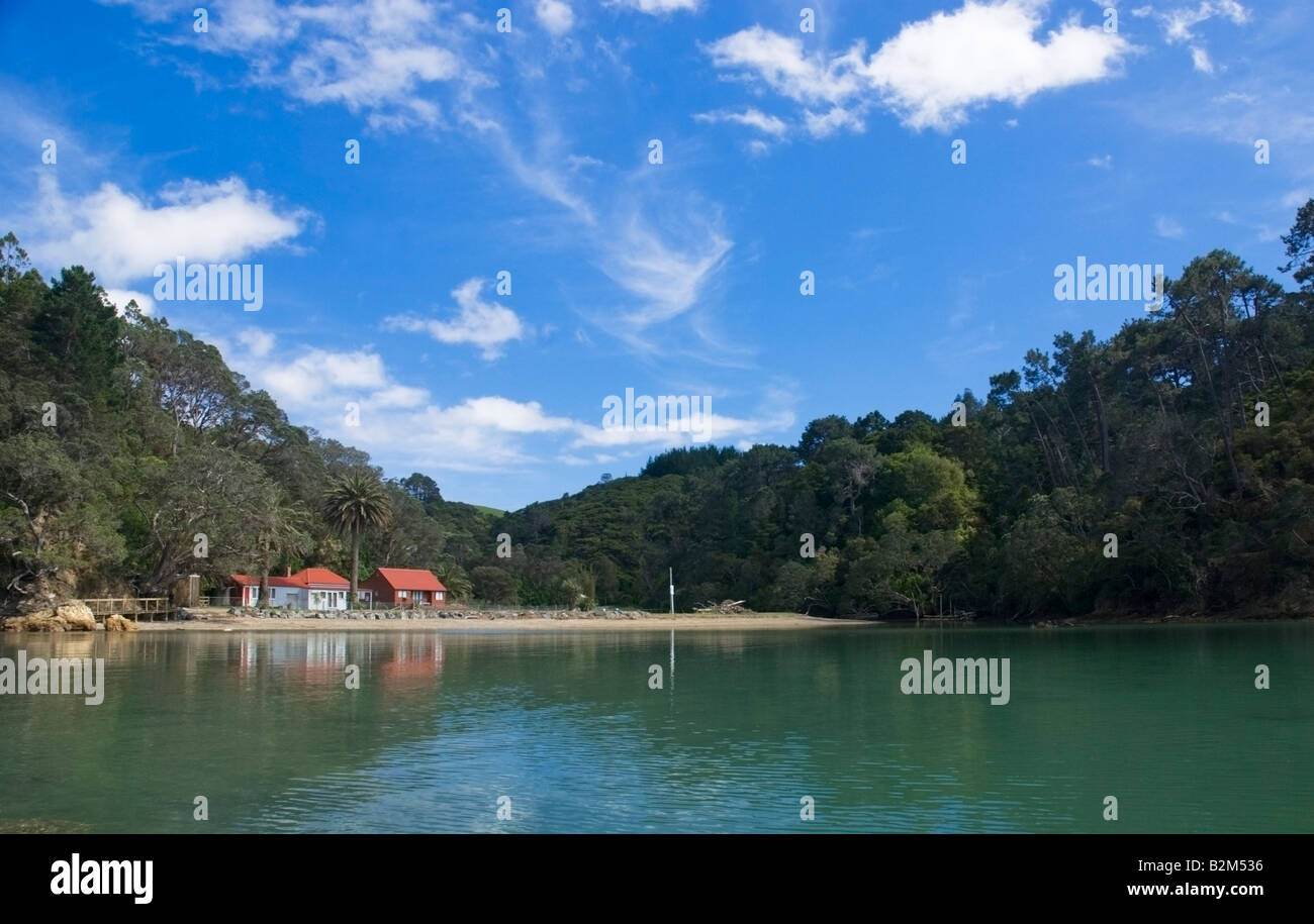 Leigh ingresso sull'Isola del nord della Nuova Zelanda Foto Stock