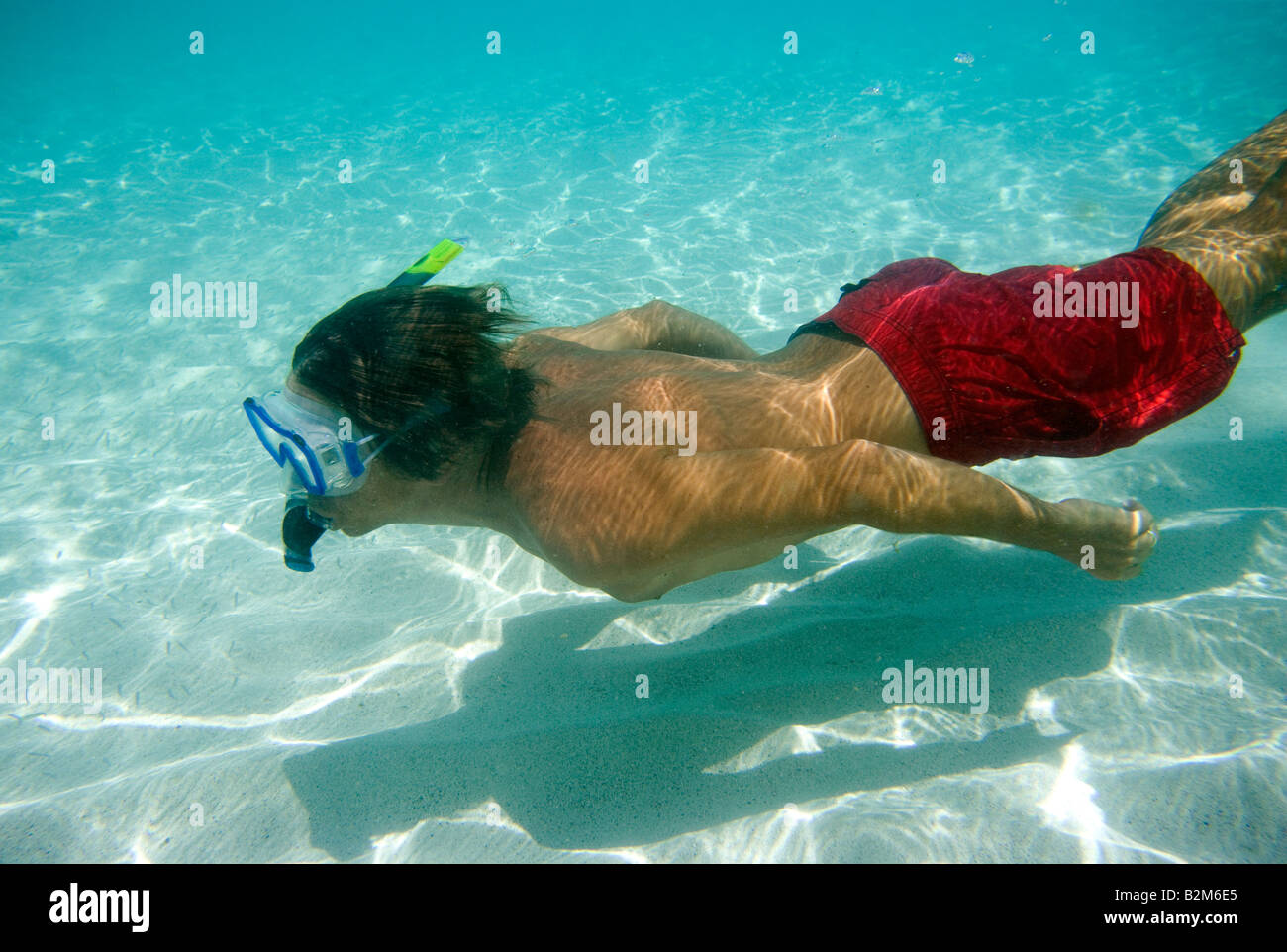 Un uomo lo snorkeling in chiaro poco profonde acque dei Caraibi Foto Stock