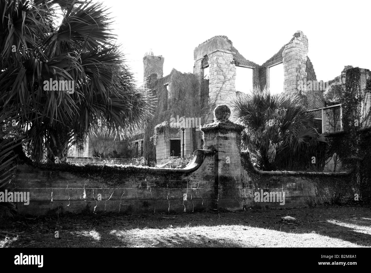 Rovine di DUNGENESS MANSION Su Cumberland Island in Georgia negli Stati Uniti Foto Stock