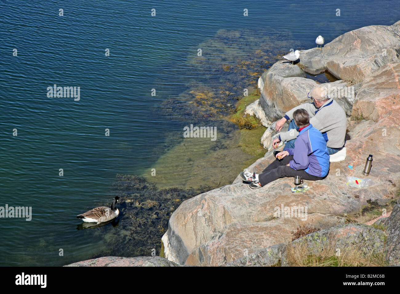 Canada Goose essendo alimentato da due turisti a Stendörren Ssweden Foto Stock