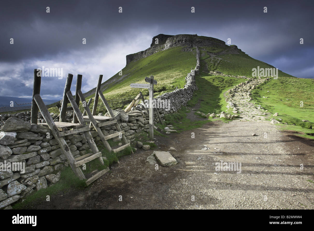 La Pennine Way sentiero e distintivo di picco di Pen-y-Ghent, Ribblesdale, Yorkshire Dales, REGNO UNITO Foto Stock