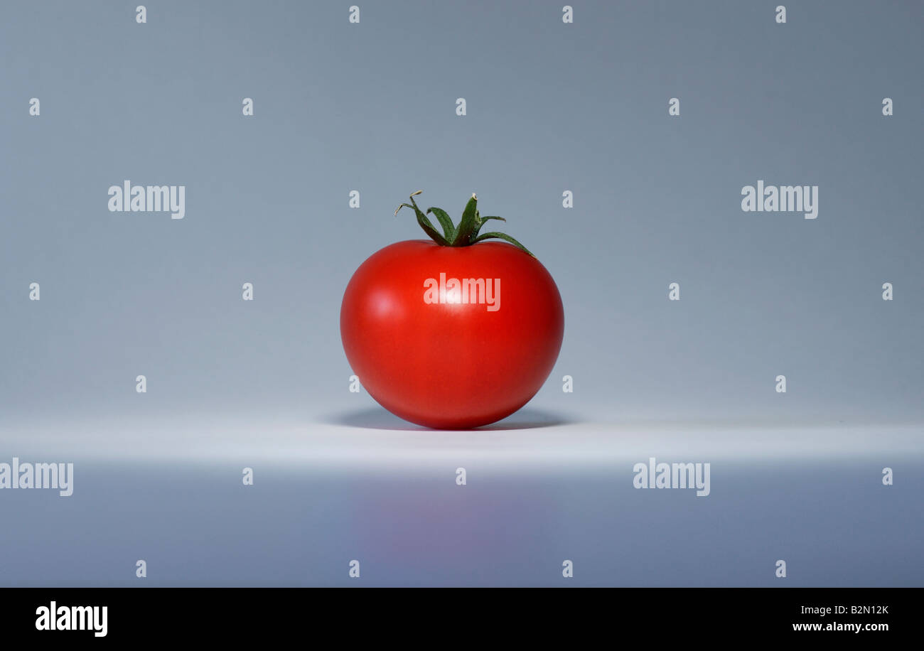 1 pomodoro rosso Foto Stock